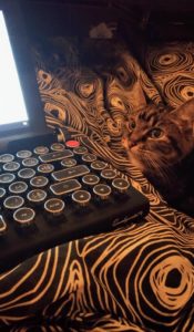 Le chat de l'écrivaine