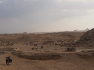 Le désert vu de Saqqarah