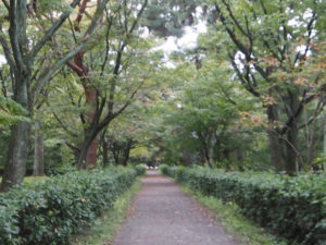 Jardin impérial de Kyoto