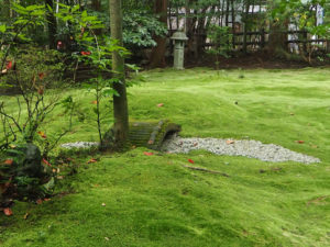 Temple des amoureux d'Arashiyama : jardin de mousses