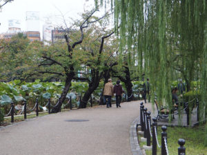 Promenade autour du lac du Parc Ueno