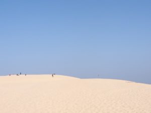 Au sommet de la dune