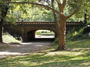 Un petit pont à Central Park