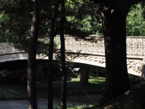 Un petit pont à Central Park