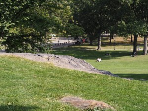Un tour à Central Park