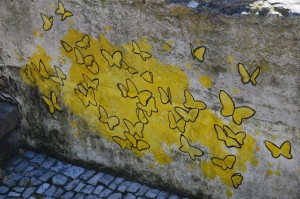 Papillons à San Appolonia