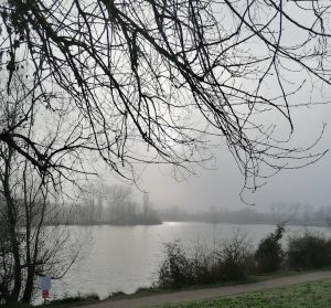 Un lac dans la brume
