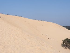 Escalader la dune du Pilat