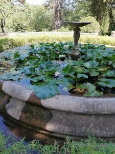 Une fontaine au lotus