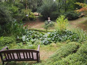 Les jardins tranquilles à Bourdeilles