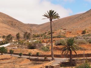 Le village de Bettancuria à Fuerteventura