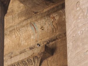 Un pigeon sur un temple égyptien