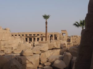 Palmier à Karnak