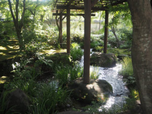 Jardin samouraï kokoen