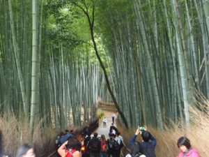 Bambouseraie d'Arashiyama à Kyoto : foule de touristes
