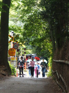 Forêt de bambous de Kyoto : au milieu, passe le train