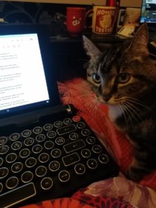 Ecrire avec un petit chat mignon