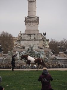 Un cheval devant le Monument aux Girondins
