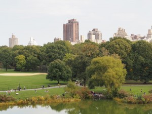 Skyline Central Park