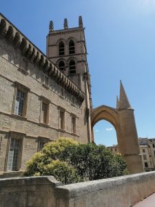 La Cathédrale de Montpellier
