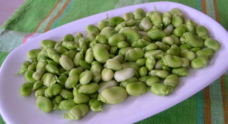 Un plat de fèves