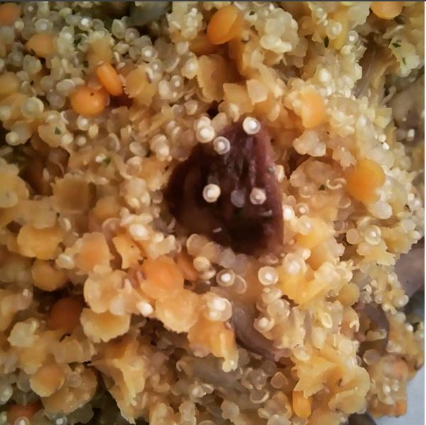 Risotto de quinoa, lentilles corail et châtaignes