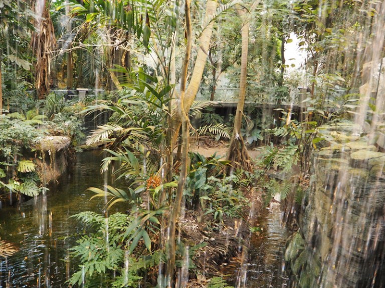 Cascade au biodôme de Montréal