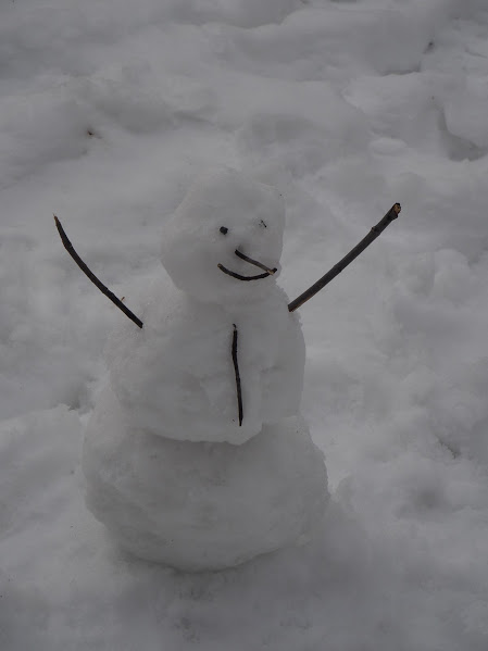 Petit bonhomme de neige