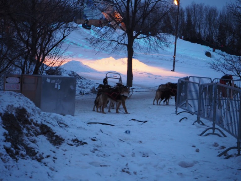 Balade en traîneau
