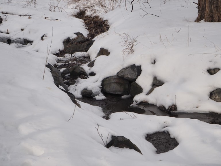 Petite rivière du mont royal