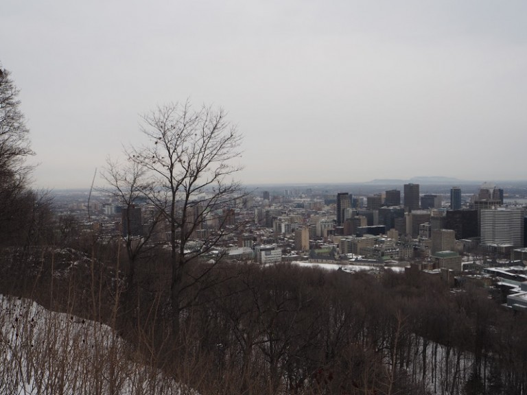 Vue sur Montréal du Mont Royal