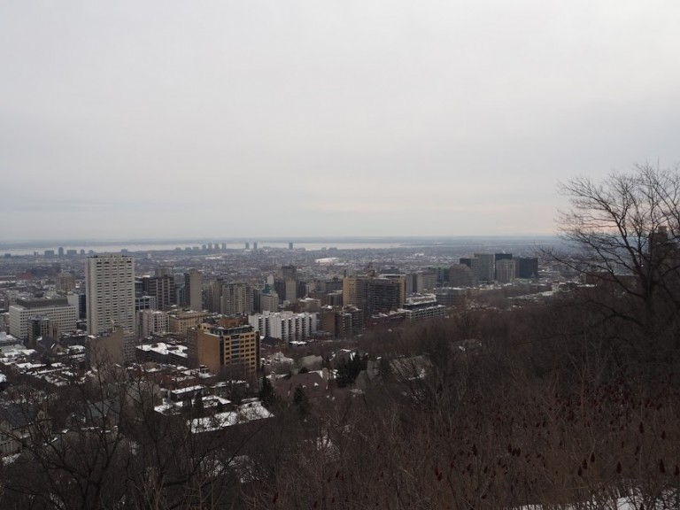Vue sur Montréal du Mont Royal