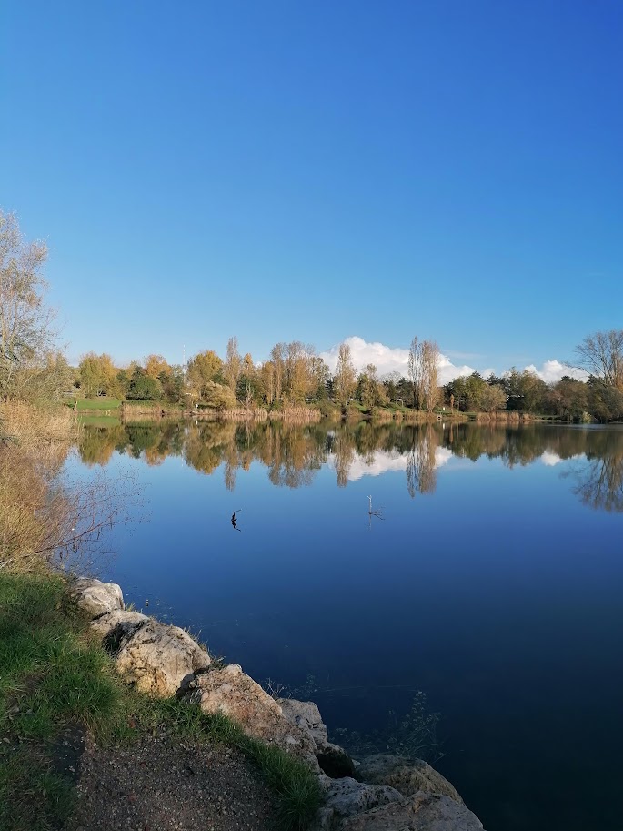 La surface lisse d'un lac