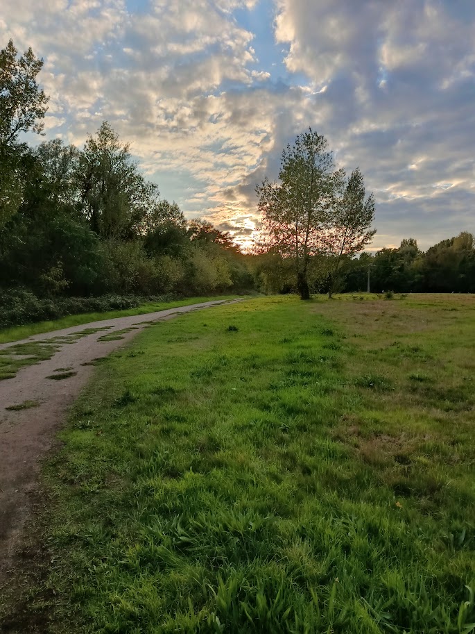 Aller au parc le soir pour respirer