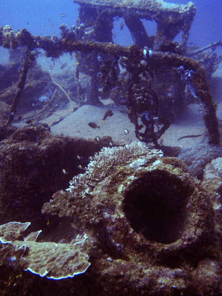Structures artificielles sous-marines pour offrir des abris à la faune aquatique.
