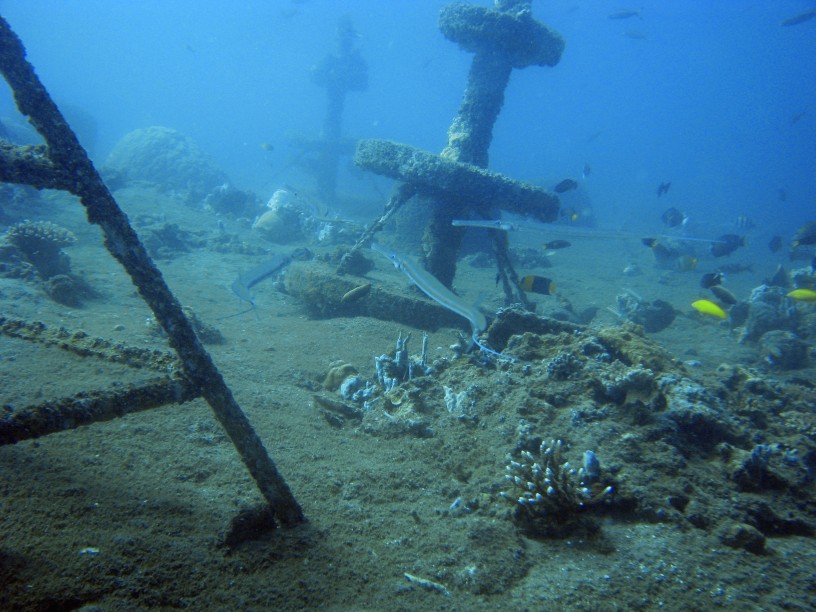 Structures artificielles sous-marines pour offrir des abris à la faune aquatique.