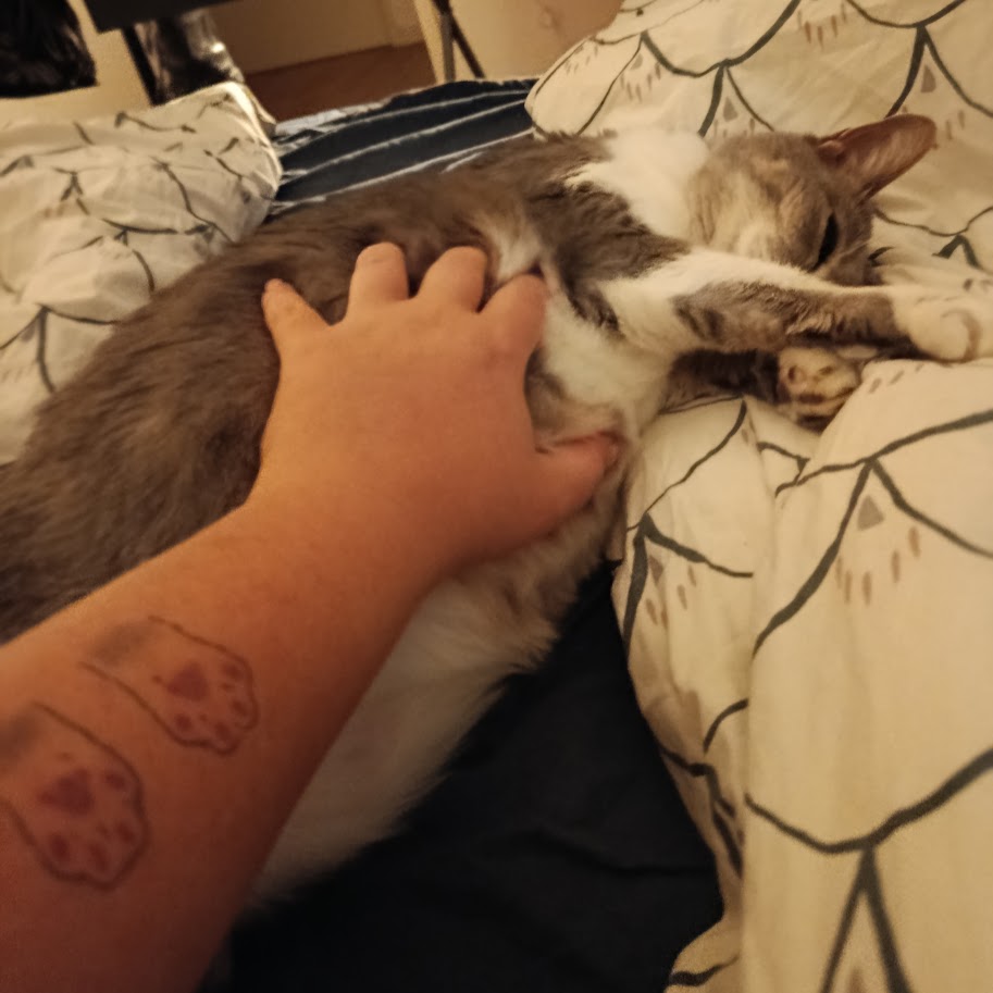 Grochat veut des câlins